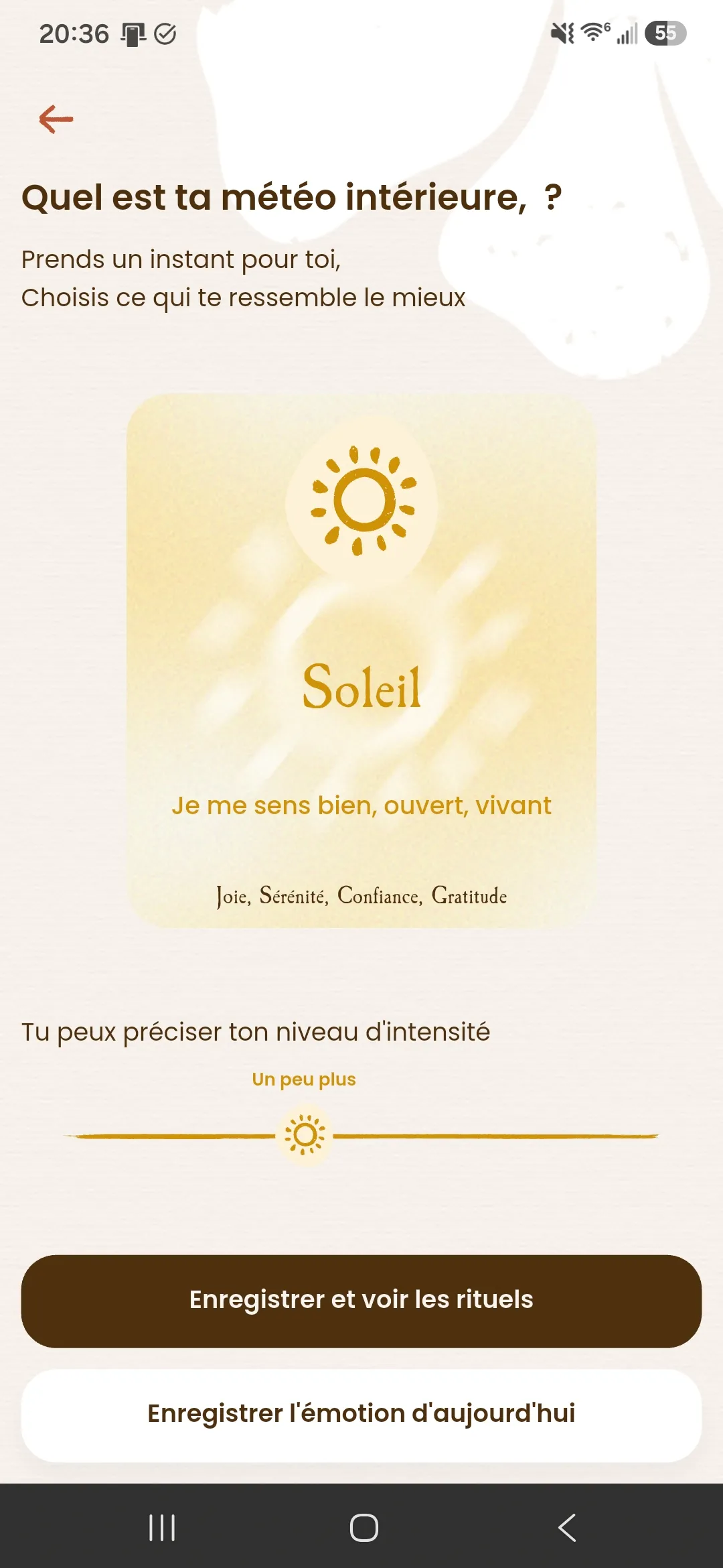 Interface Ondaïa : écran de journaling quotidien et graphique de suivi des cycles émotionnels de 1 à 10
